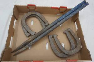 iron horse shoe set