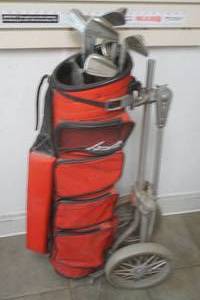 Golf bag with clubs and cart