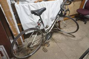 12 speed womens bike