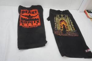 WWE t-shirts LIKE NEW