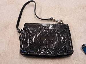 lot 690 image: Coach Wristlet Clutch