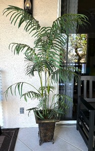 lot 42 image: Fabulous Faux Tropical Tree