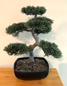 lot 78 image: Fantastic Faux Bonsai Tree