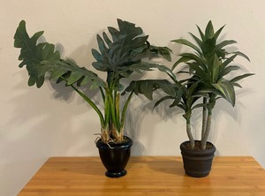 lot 85 image: Two Fine Faux Tropical Plants