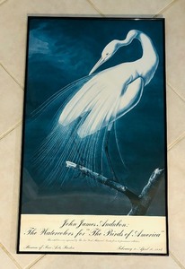 lot 146 image: The Watercolors for The Birds of America Print by John James Audubon