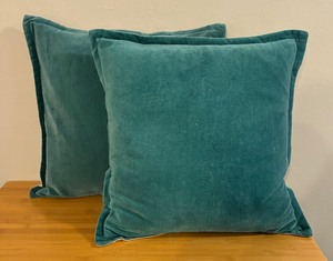 lot 151 image: Pair of Teal and Tan Accent Pillows