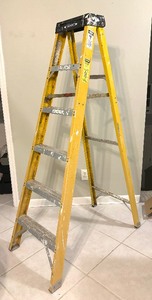 lot 195 image: Werner ESA06 Electro-Master 6 Foot Ladder