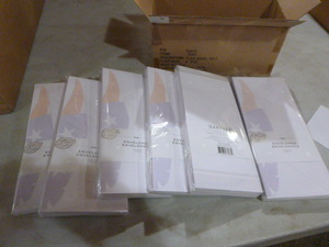 6 Packs of #10 Envelopes