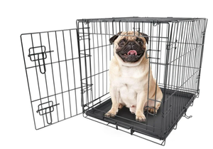 lot 352 image: Vibrant Life Single-Door Folding Dog Crate with Divider, 24