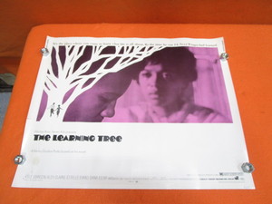 lot 104 image: Vintage The Learning Tree Movie Poster 22x28