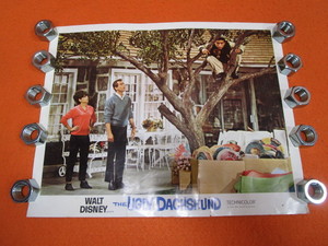 lot 120 image: Vintage The Ugly Dachshund Movie Poster 11x14