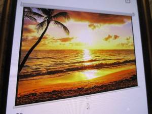 Dinah projection screen 100...