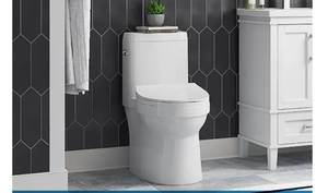 lot 15 image: OVE Decors Sabine One-Piece Elongated Toilet, Dual Flush Retail $449.99