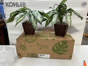 lot 309 image: 2 New Fake Plants