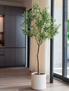 lot 101 image: Faux 6.5 Olive Tree Item