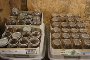 lot 106 image: (4 Boxes) Canning JarsAssorted Sizes and Brands