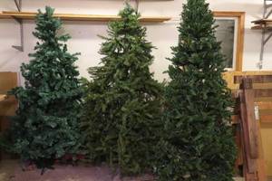 lot 152 image: Forest of Artificial Christmas Trees