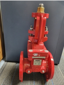 lot 141 image: New 3 399F Reliable Resilient Seated 300psi Flanged Fire Gate Valve Rel-OSY-399F
