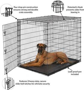 lot 247 image: Midwest Homes for Pets Ginormous Single Door 54-Inch Dog Crate  Kennel for XXL Dogs Breeds Great Dane, Mastiff, St. Bernard, Drop Pin Assembly Black SL54 54 Length x 37 Width x 45 Height