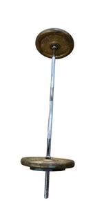 lot 62 image: 25LB One Inch Barbell plus Two 25LB and Two 5LB  Weight Plates ( Used)