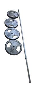lot 63 image: 25LB One inch Barbell plus Four 25LB Reebok Rubber Coated Weight Plates ( Like new)