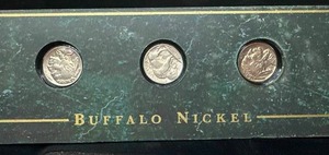 Buffalo Nickel Set