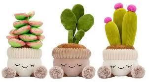 lot 41 image: Greenhouse by Russ Potted Plant Rubber Tree, Succulent & Flowering Cactus Plush Set
