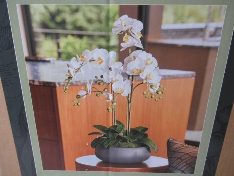 lot 63 image: Faux 24 Phalaenopsis Orchid-White