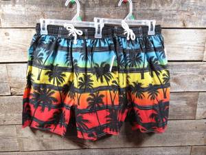 Set of 2 Kids Swim Trunks-Palm Beach Sunset-Medium