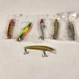 6 Minnow Lures