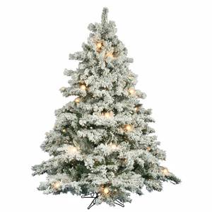 lot 159 image: Vickerman 6.5 Flocked Alaskan Pine Artificial Christmas Tree, Clear Dura-Lit lights