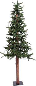 lot 194 image: Vickerman Alpine Artificial Christmas Tree with Real Pine Cones, 5  - A807250