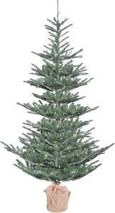 lot 213 image: Vickerman 5 x 40 Alberta Blue Spruce 200 LED Warm White - G160451LED