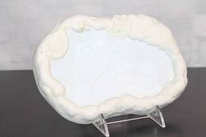 lot 67 image: Vintage Shaking Pond Platter with Unique Design