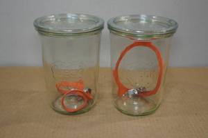 lot 101 image: 2 Weck 34L Mold Canning Jars