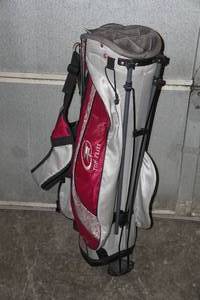 lot 225 image: Top Flite Golf Bag