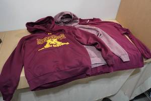 lot 311 image: Minnesota Gophers Shirts