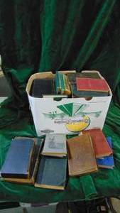 Large Lot of Norwegian Books