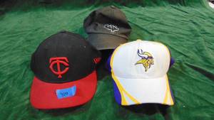 2 Twins and 1 Viking Hat