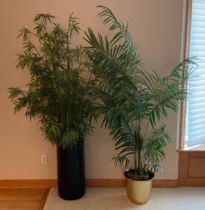 lot 50 image: Two Tropical Fake Plants 1 Bamboo