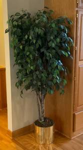 lot 52 image: 72  Fake Plant