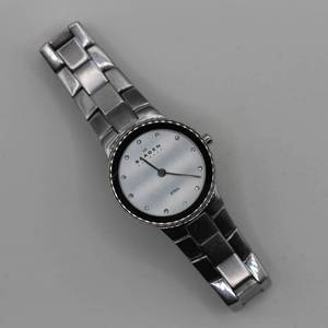 Skagen Steel Ladies Quartz Watch