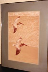 Pelican Patrol Framed Print of Pelicans by Artist William Plantz