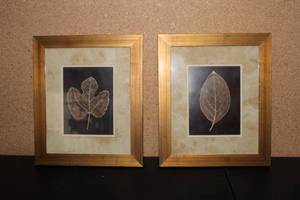Set of 2 Framed Botanical Prints by Julie Greenwood