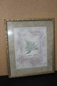 Framed Botanical Art Print of Fern
