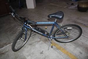 Used Diamondback Wildwood Mountain Bike with Water Bottle