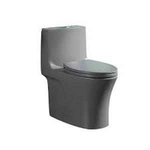 FUNKOL 28.7 in. H One-Piece 1.11.6 GPF Dual Flush Elongated Ceramic Toilet in Grey with Soft Close Seat  Customer Returns See Pictures