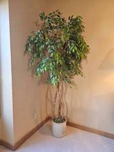 lot 202 image: Seven Foot Faux Fig Tree