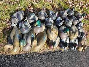 lot 37 image: Majestic Decoys Bundle 24 Count