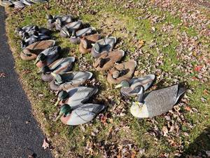 lot 38 image: Rubber Floating Decoy Bundle 21 Count